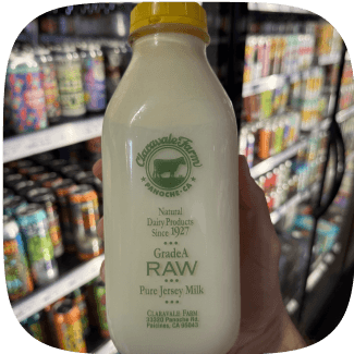 Gradea Raw Pure Jersey Milk